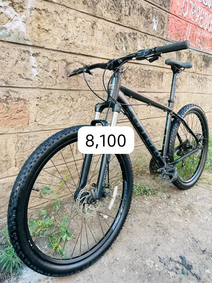 Mountain bike size 29 inch